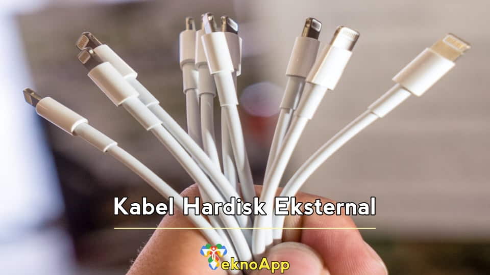 Kabel Hardisk Eksternal