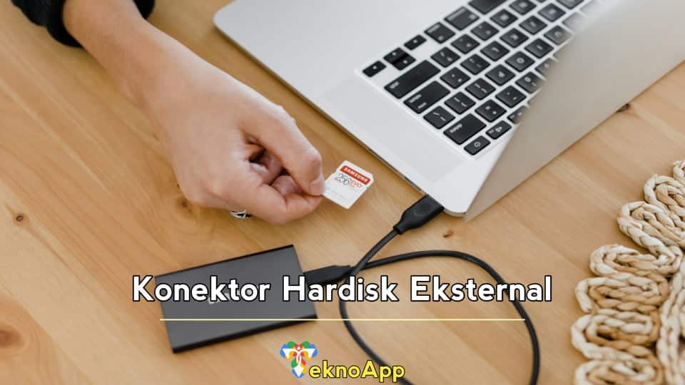 Konektor Hardisk Eksternal