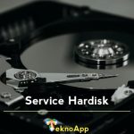 Service Hardisk