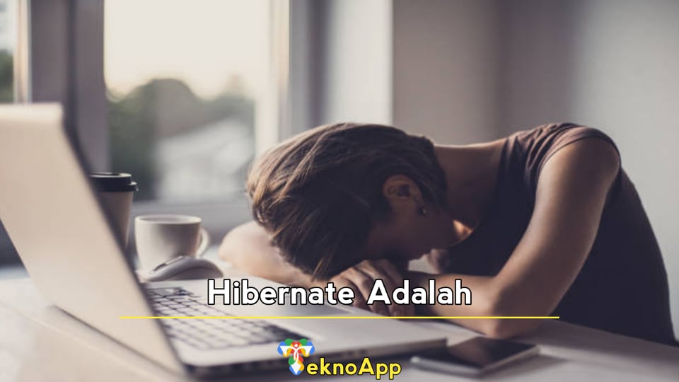 hibernate adalah