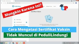 Cara Mengatasi Sertifikat Vaksin Tidak Keluar di PeduliLindungi